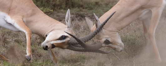 Jean-wimmerlin-e1dagormkik-unsplash