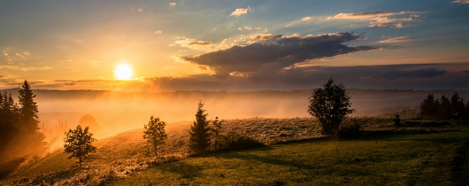 Dawid-zawila--g3rw6y02d0-unsplash