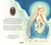 22cma allo toymm1024 1