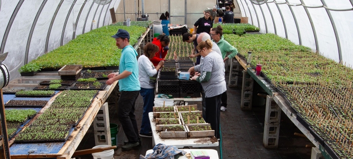 Earthworks-urban-farm-greenhouse-april-2019-min